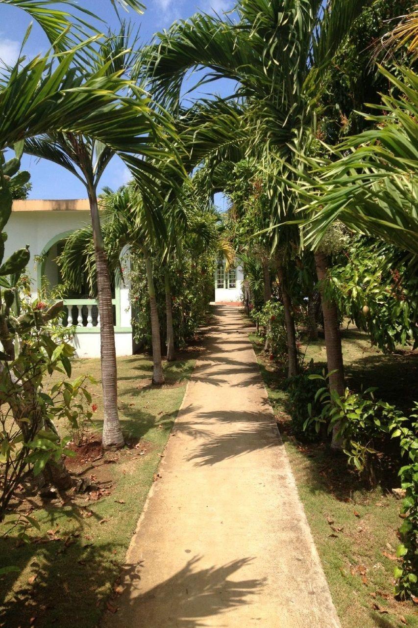 Hidden Paradise Resort Hotel Negril Exterior foto